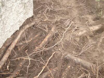 zahjen-opravy-kapliky-v-josefov-92010