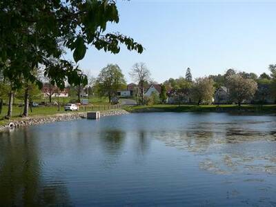 odbahnn-nvesnho-rybnka-ve-zlatkov