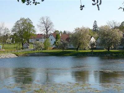 odbahnn-nvesnho-rybnka-ve-zlatkov