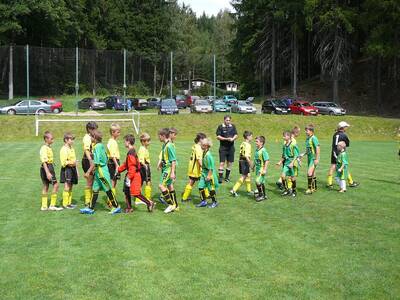 10-let-organizovan-kopan-v-ron-2012