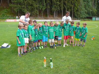 fotbalist---mlad-ppravka-2015-1-msto-okresnho-peboru