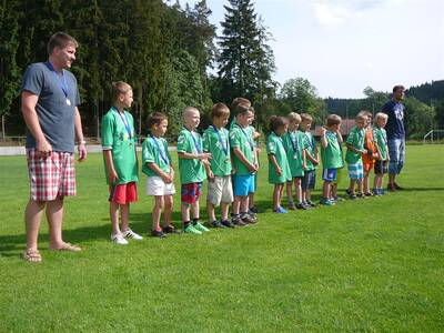 fotbalist---mlad-ppravka-2015-1-msto-okresnho-peboru