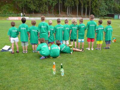 fotbalist---mlad-ppravka-2015-1-msto-okresnho-peboru