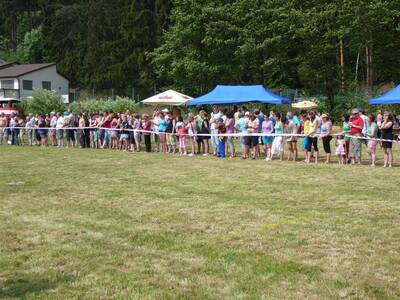 dtsk-hasisk-liga---zvody-v-ron-62015